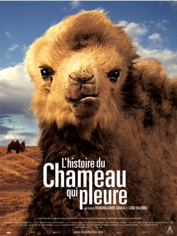 Affiche Histoire du chameau qui pleure (L')