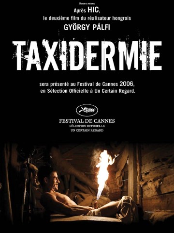 Affiche Taxidermie