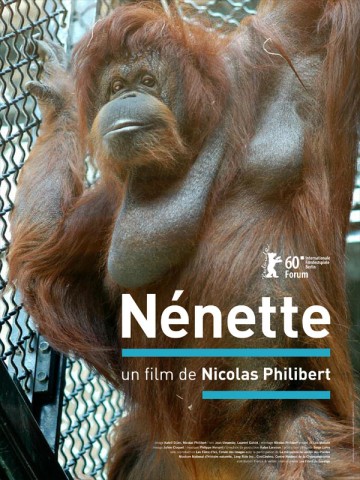 Affiche Nénette