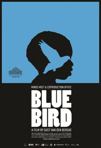 Affiche Blue Bird