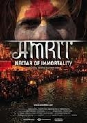 Affiche Amrit Nectar of Immortality