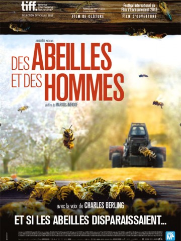 Affiche More than Honey