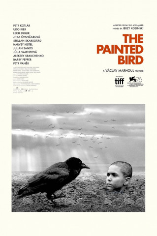 Affiche The Painted Bird