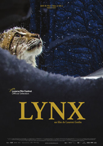 Affiche Lynx