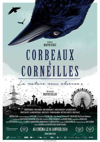 Affiche Corbeaux & corneilles - La nature nous observe